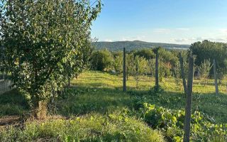 Teren intravilan de vânzare în centrul comunei Bârnova, Iași - Poză 3