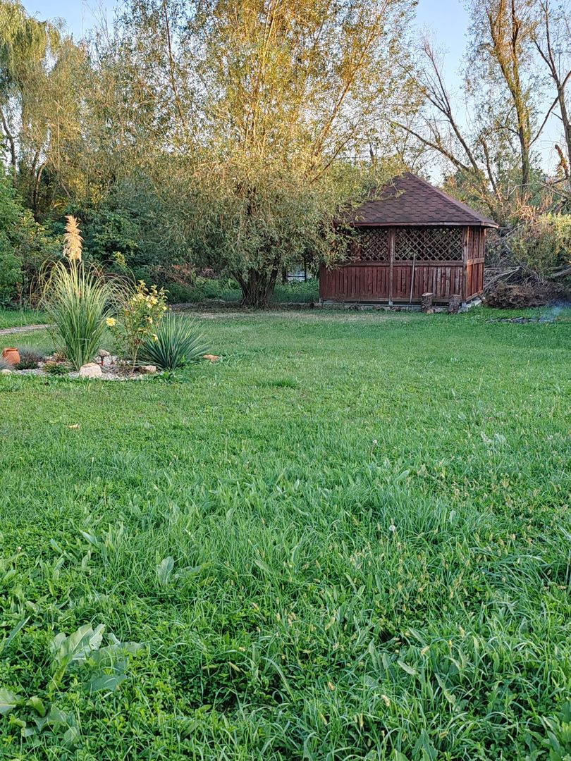 Vilă cu 8 camere de vânzare, piscina, livada, iesire la Balta Pasarea - Poză 36
