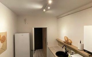 BRASADAS inchiriaza gars UTILATA la PARTER PLAZA RESIDENCE. - Poză 7