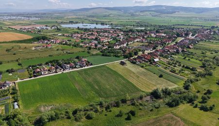 Teren intravilan 10.000 mp, Rotbav (Feldioara)