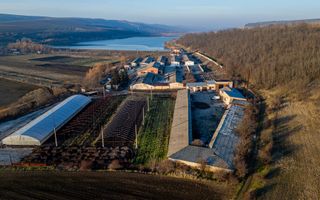 Fosta Ferma a Partidului de la Horgesti - de vanzare - Poză 20