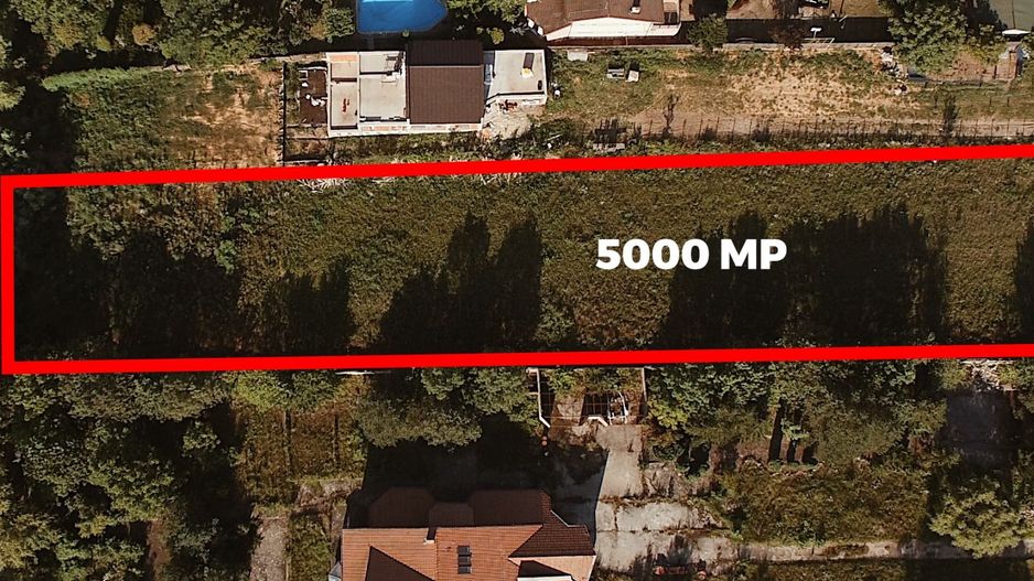 Teren extravilan 5.000 mp Snagov-Vladiceasca cu iesire la lac - Poză 2