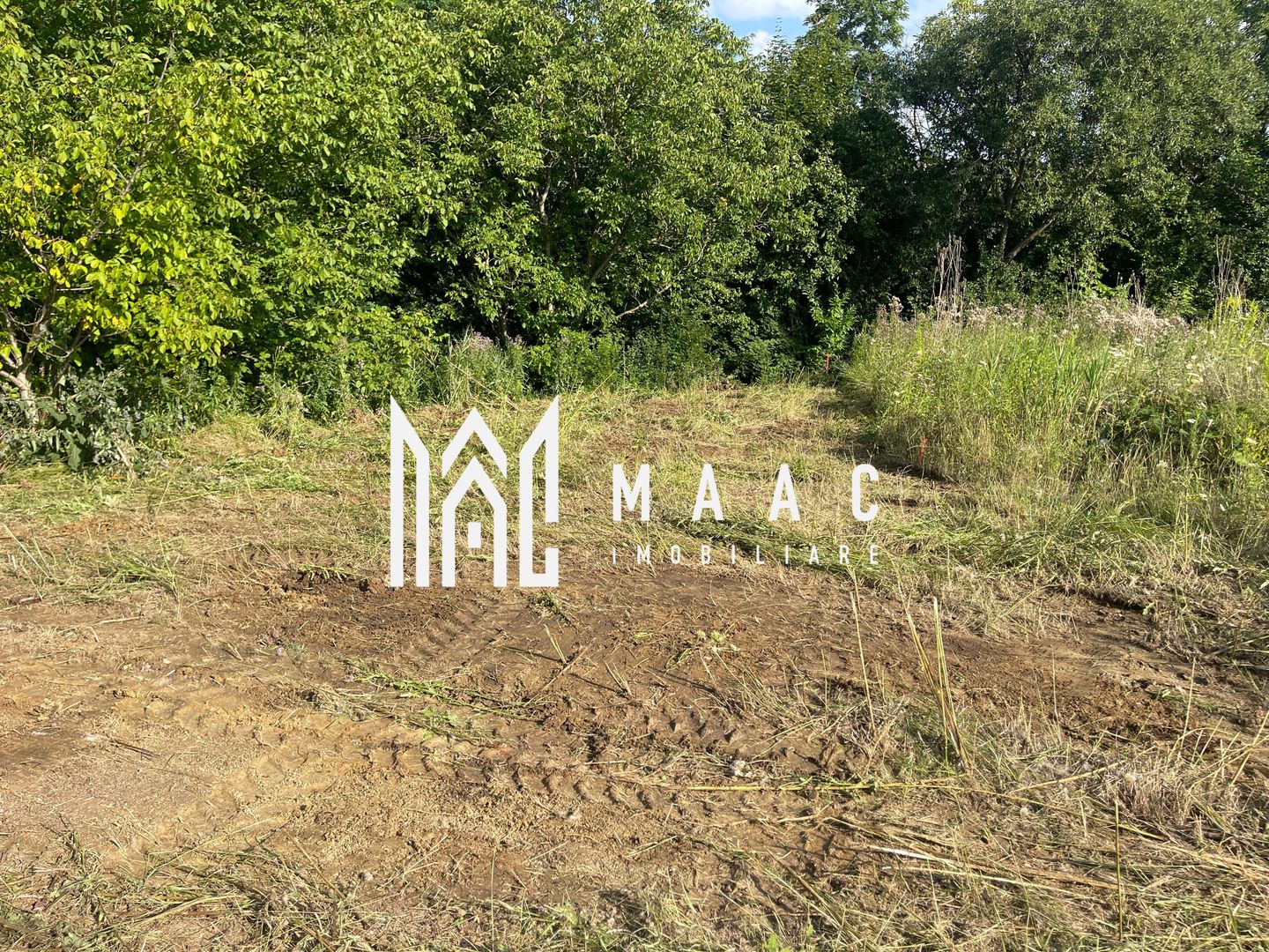 Oportunitate de Investiție Strategică | Teren Intravilan | Colonia Becas - Poză 14