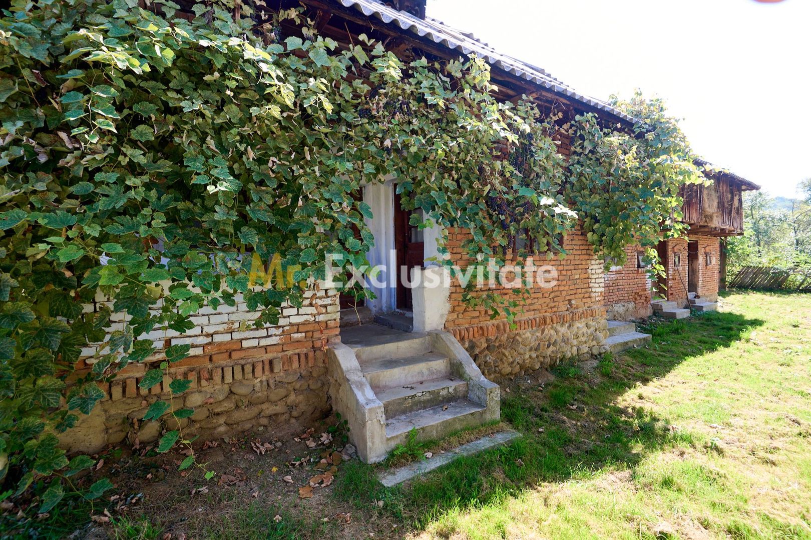 Casa cu teren de 1.200 mp si livada–Badesti, comuna Pietrosani, Arges - Poză 3