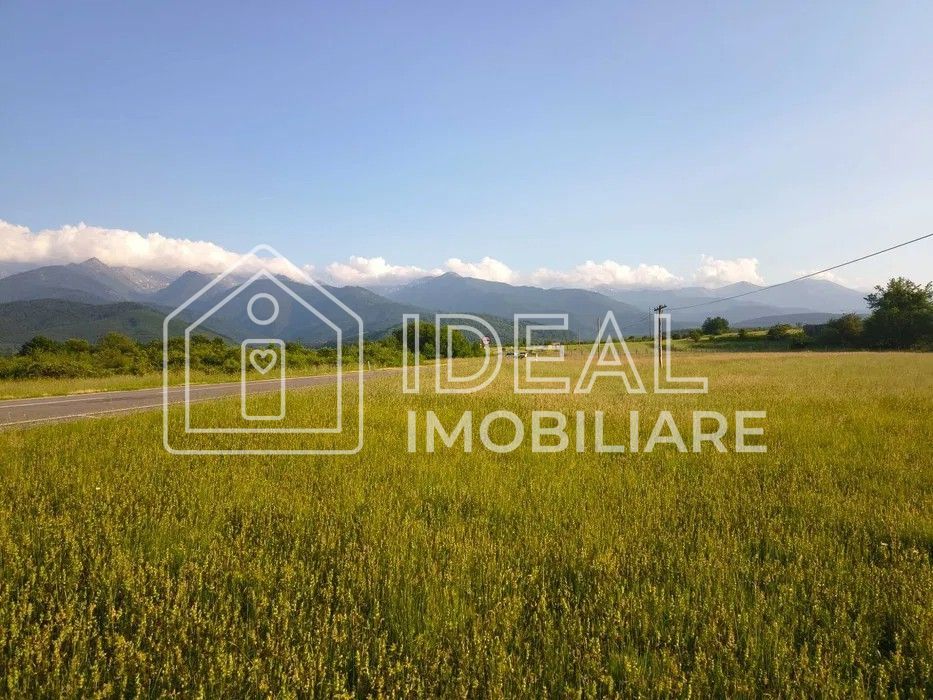 Teren extravilan de vânzare | Cârțișoara | 1800 mp - Poză 4