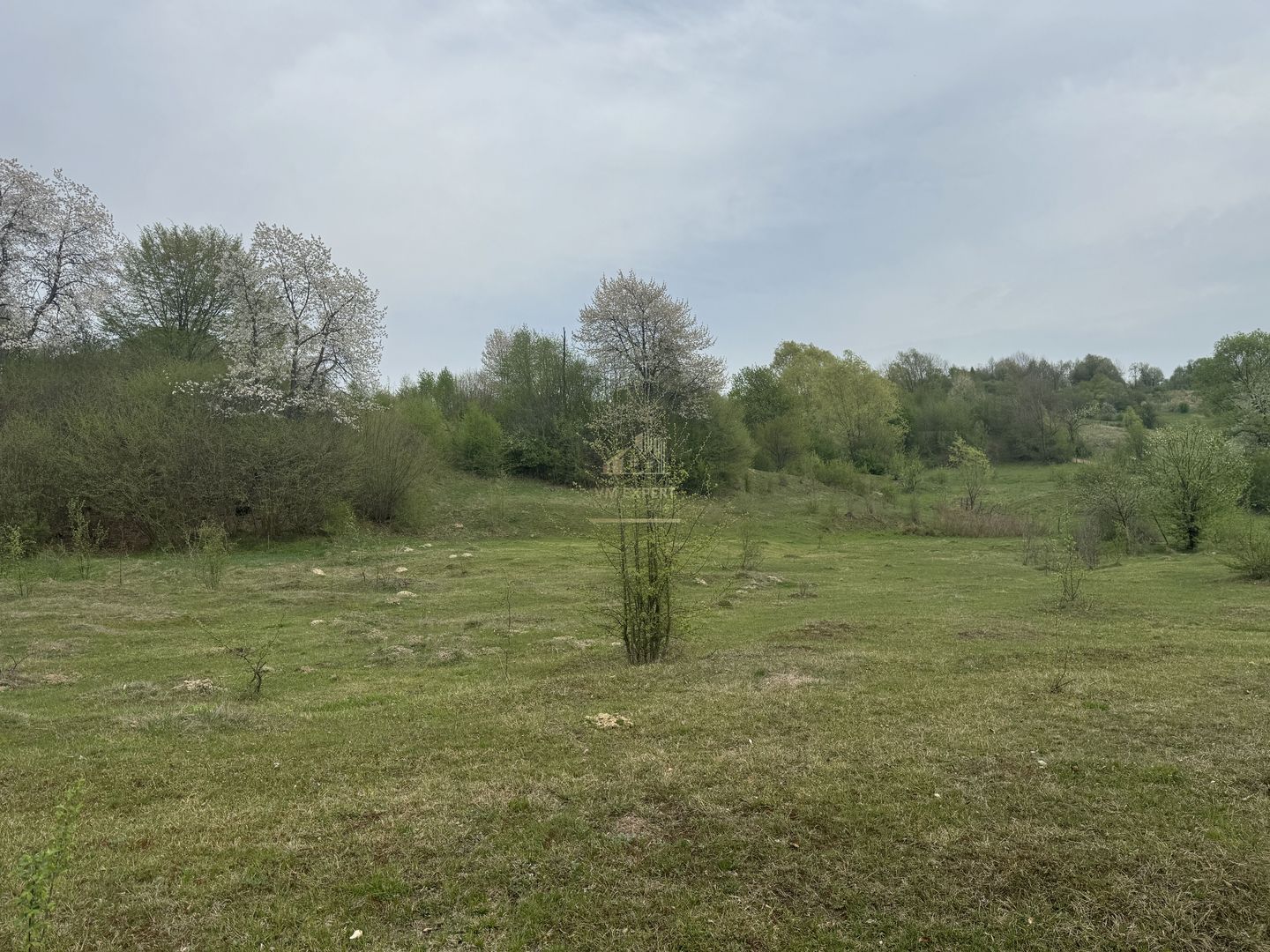 TEREN EXTRAVILAN 40000 MP, ALBESTI DE MUSCEL, CANDESTI - Poză 13