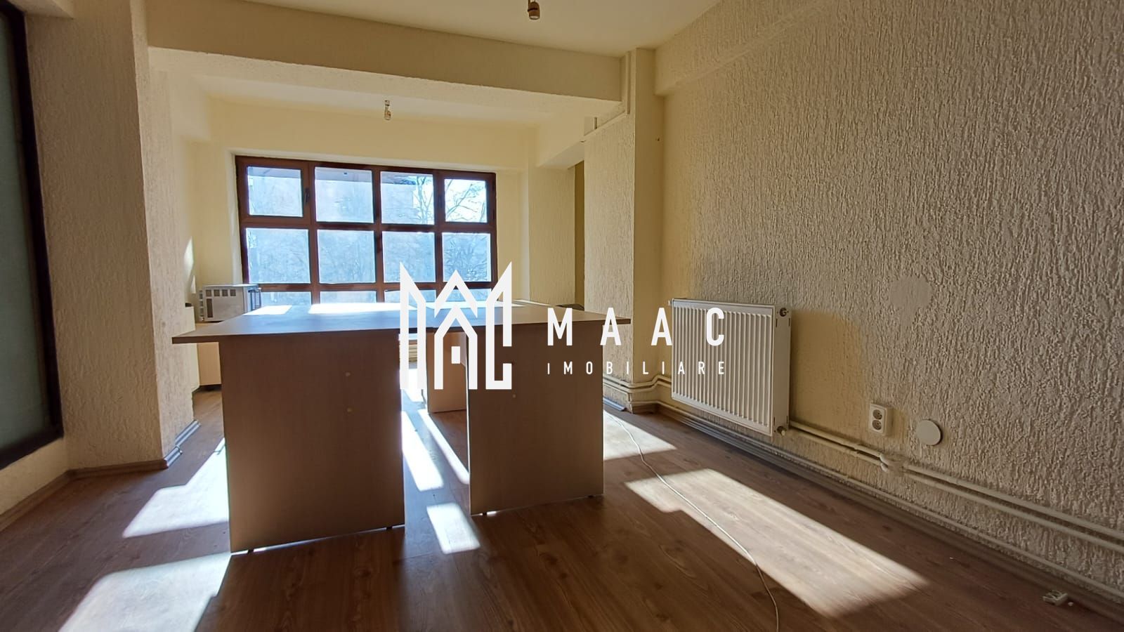 Spatiu comercial | 25 MPU | Turnisor - Poză 2