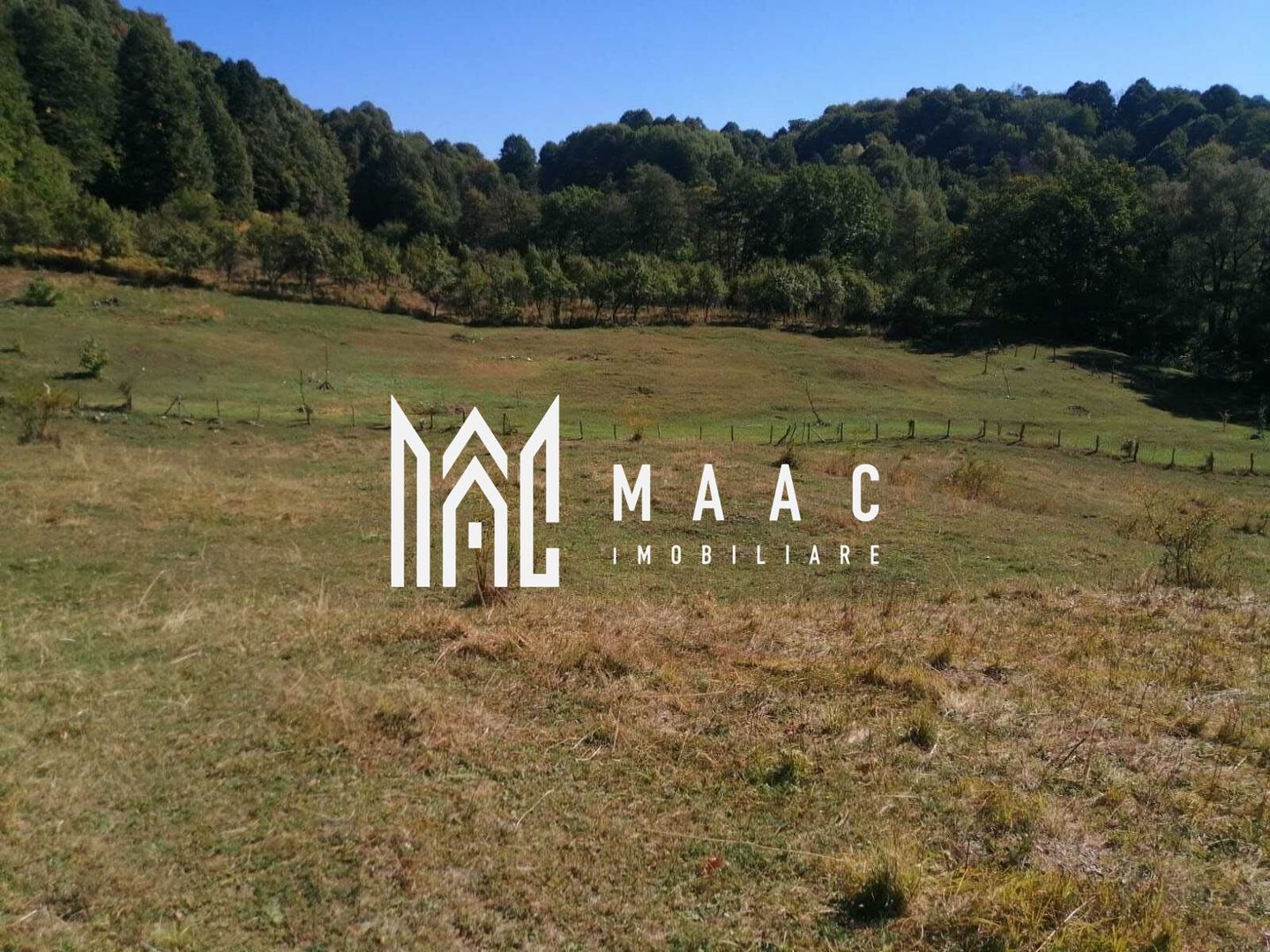 Teren Extravilan 20.000Mp I Stoenești -Vâlcea I Apă Curentă și Pădure - Poză 2