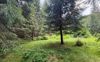 Teren intravilan de vânzare-COMANDAU /COVASNA-2500mp - Poză 1