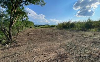 Oportunitate de Investiție Strategică | Teren Intravilan | Colonia Becas - Poză 8