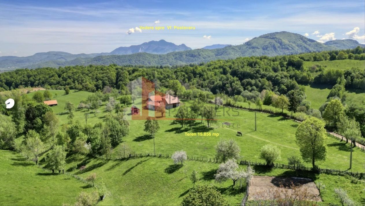 Teren 15.856 mp în Bran Sohodol | Ideal dezvoltare turistică - Poză 5
