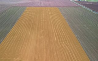 Teren ideal pentru dezvoltare rezidentiala, PUZ aprobat, Frumusani - Poză 7