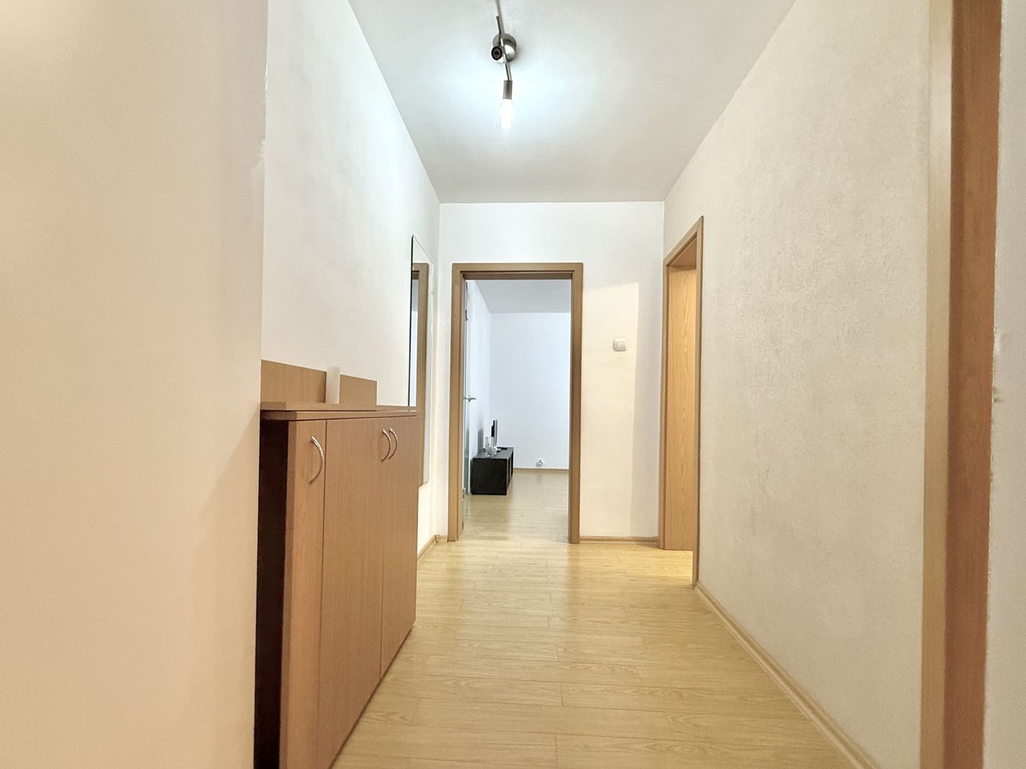 Apartament cu 3 camere în zona Gheorghe Lazăr - Dacia, pet friendly - Poză 13
