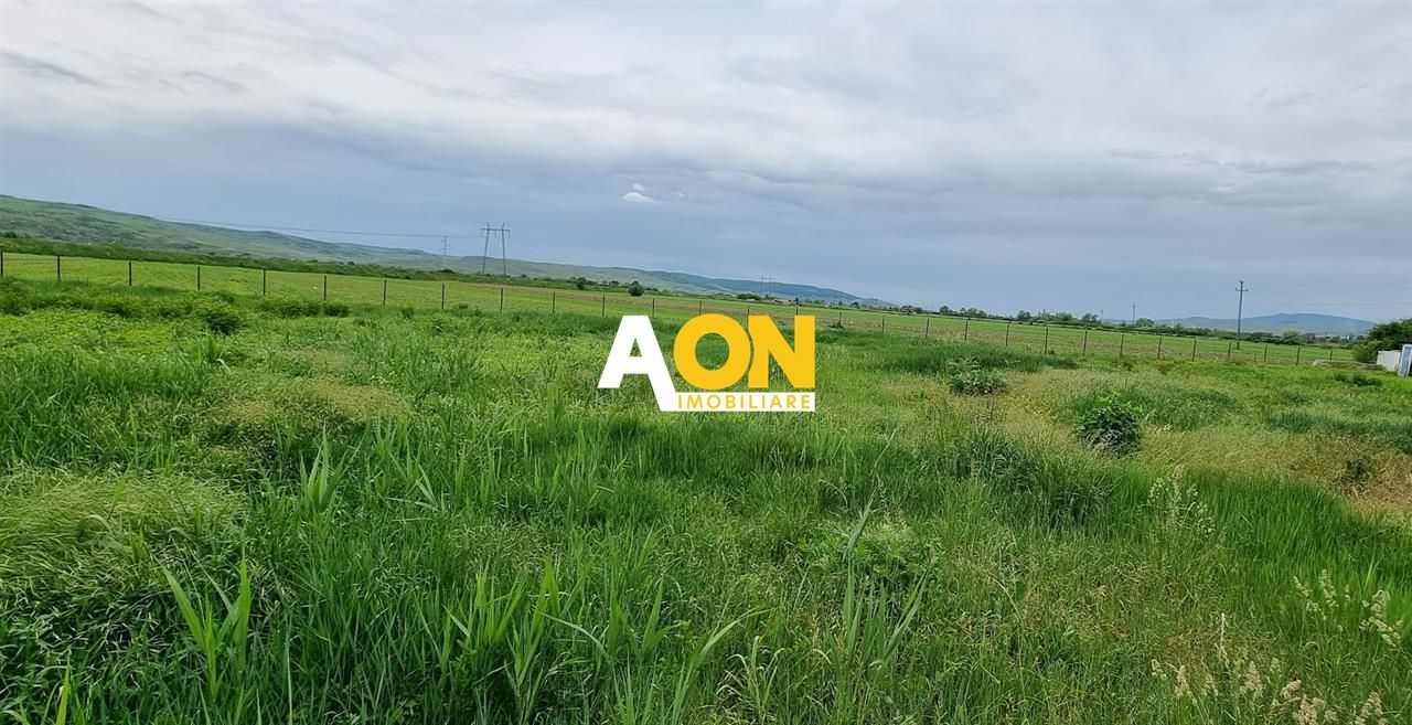 Teren Intravilan 660mp Zona Coslariu - Comuna Santimbru - Poză 1