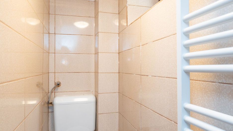 COMISION 0% - Vila 270 mp, teren 343mp renovata,  Floreasca - Stefan cel Mare - Poză 24