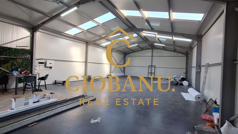 Hala de vanzare in Racarii de Jos - Poză 13
