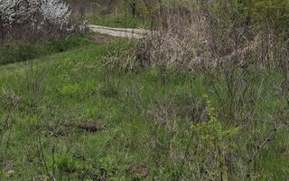 Teren extravilan de vanzare, Bucium, Iasi - Str. Boiangiu, vizavi de Carter Vile Teh Construct - Poză 4