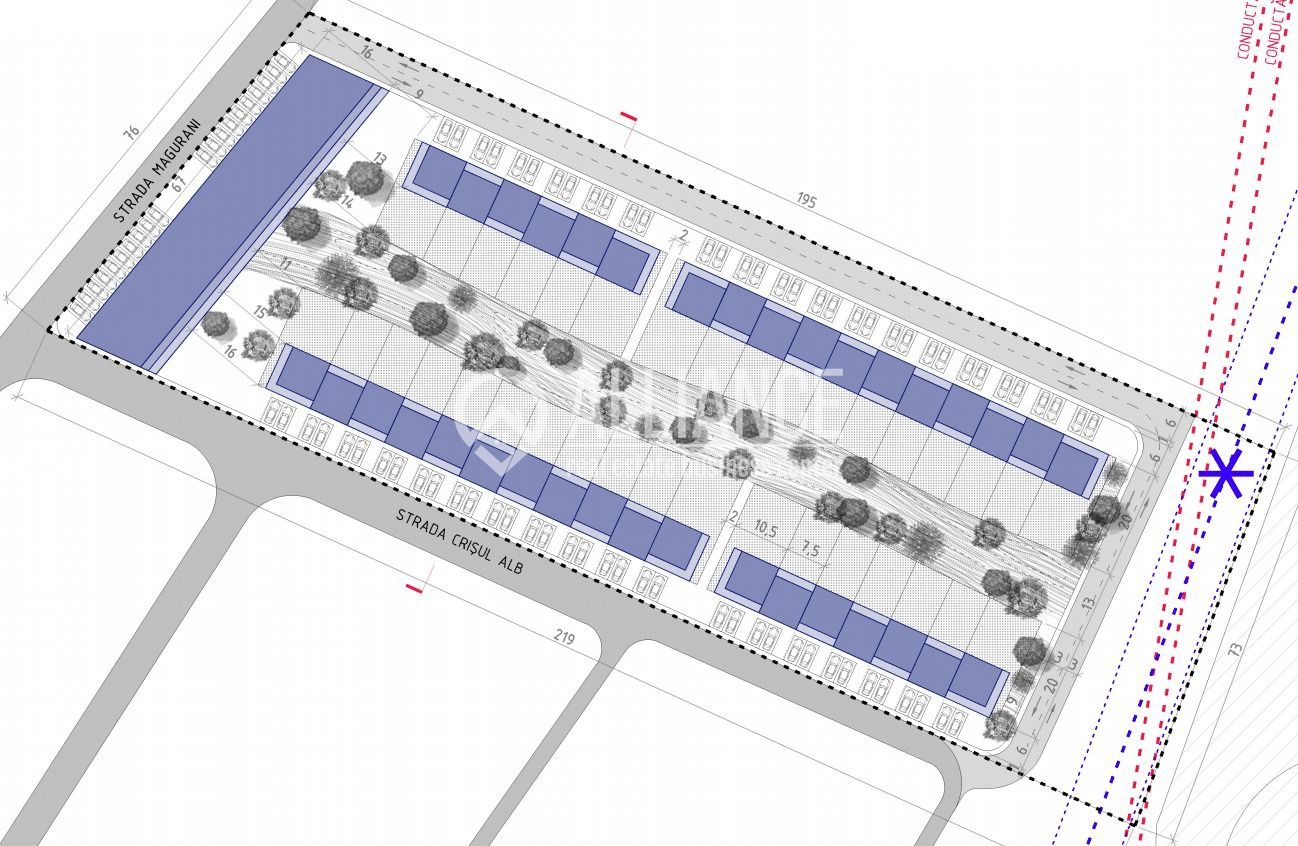 AUREL VLAICU - In spate la Raja! - Poză 5