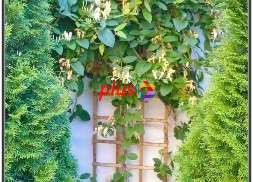 Casa Restaurant cu gradina - 250 mp - Poză 15