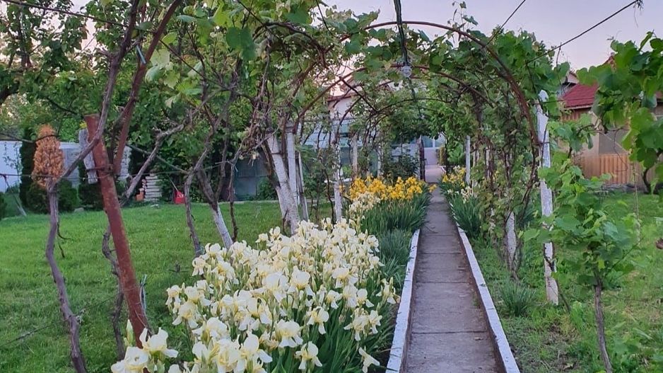 Casa | 9 camere | Garaj | Piscina | Teren 3.000 mp | Comision 0% - Poză 5