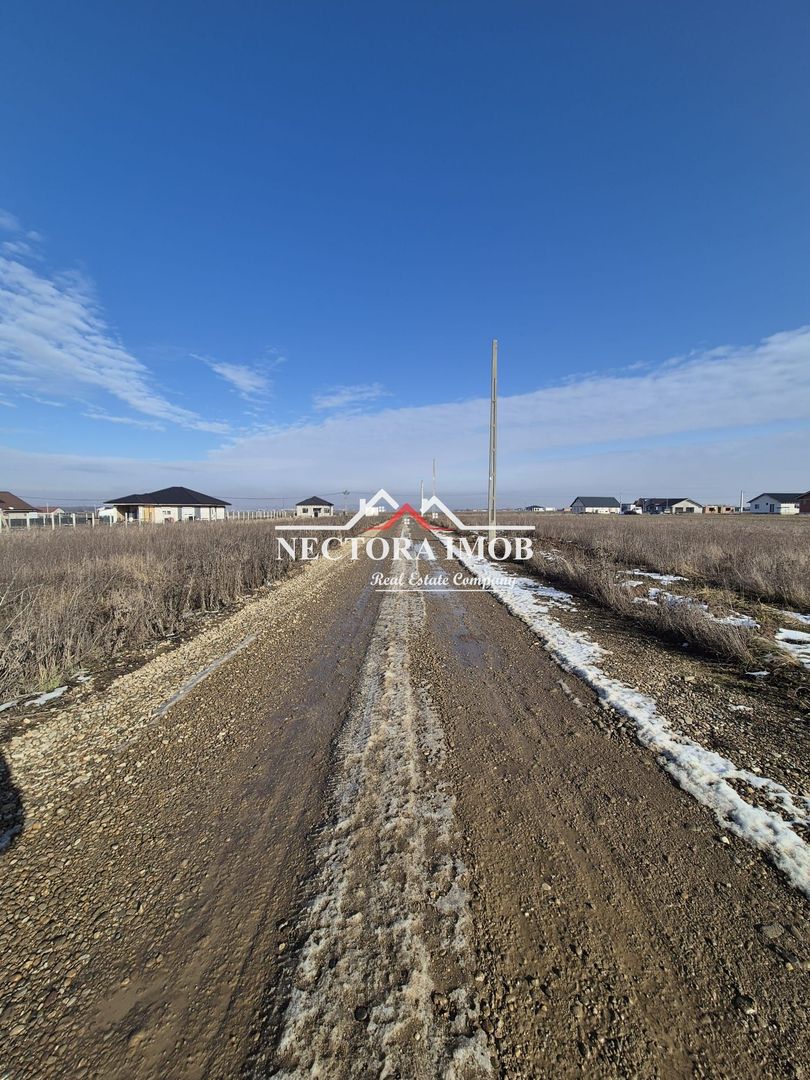 NECTORA IMOB-Teren Intravilan, 500 mp, Front 20ml,Zona CIHEI,Utilitati - Poză 4