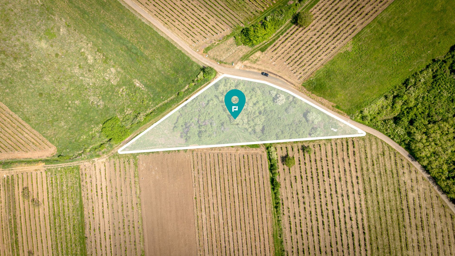 Teren extravilan - 3654 mp Dealul Șiriei - Poză 2