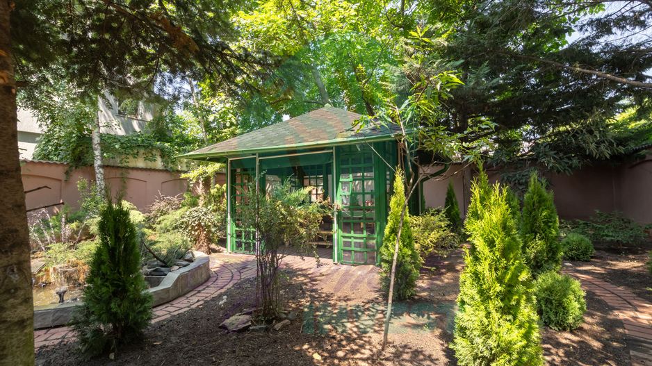 Vila eleganta si rara in cartierul Domenii - Poză 7