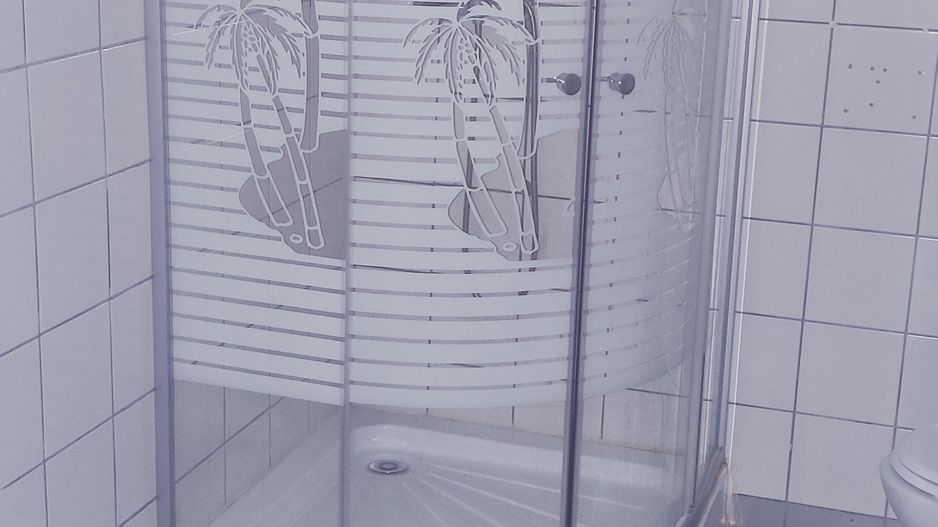 Hala productie /depozitare -zona C.  Sagului - Poză 13