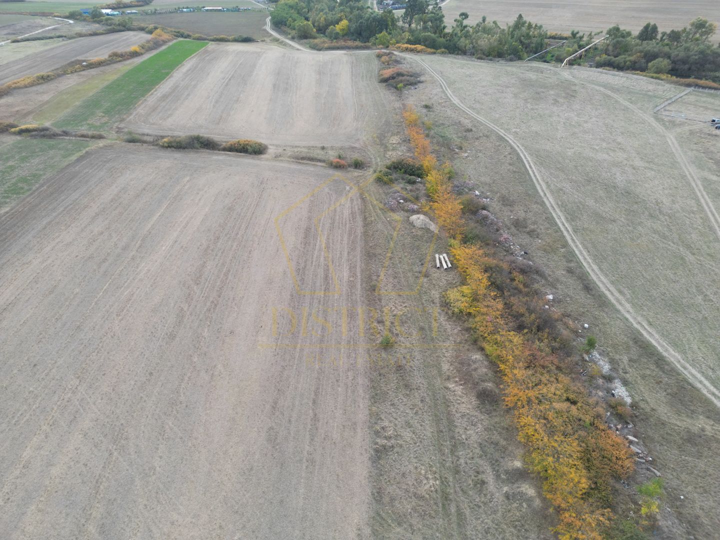 Teren arabil Intravilan 11600mp | LmP | Remetea Mare | COM 0% - Poză 4