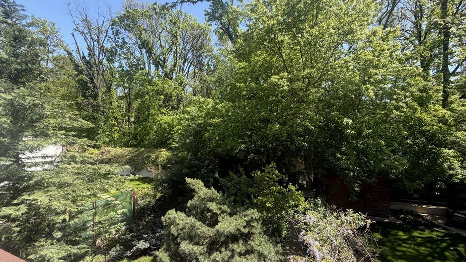 Vilă cu ieșire directă în Pădurea Băneasa – zonă Liceul Francez, Nord București - Poză 16