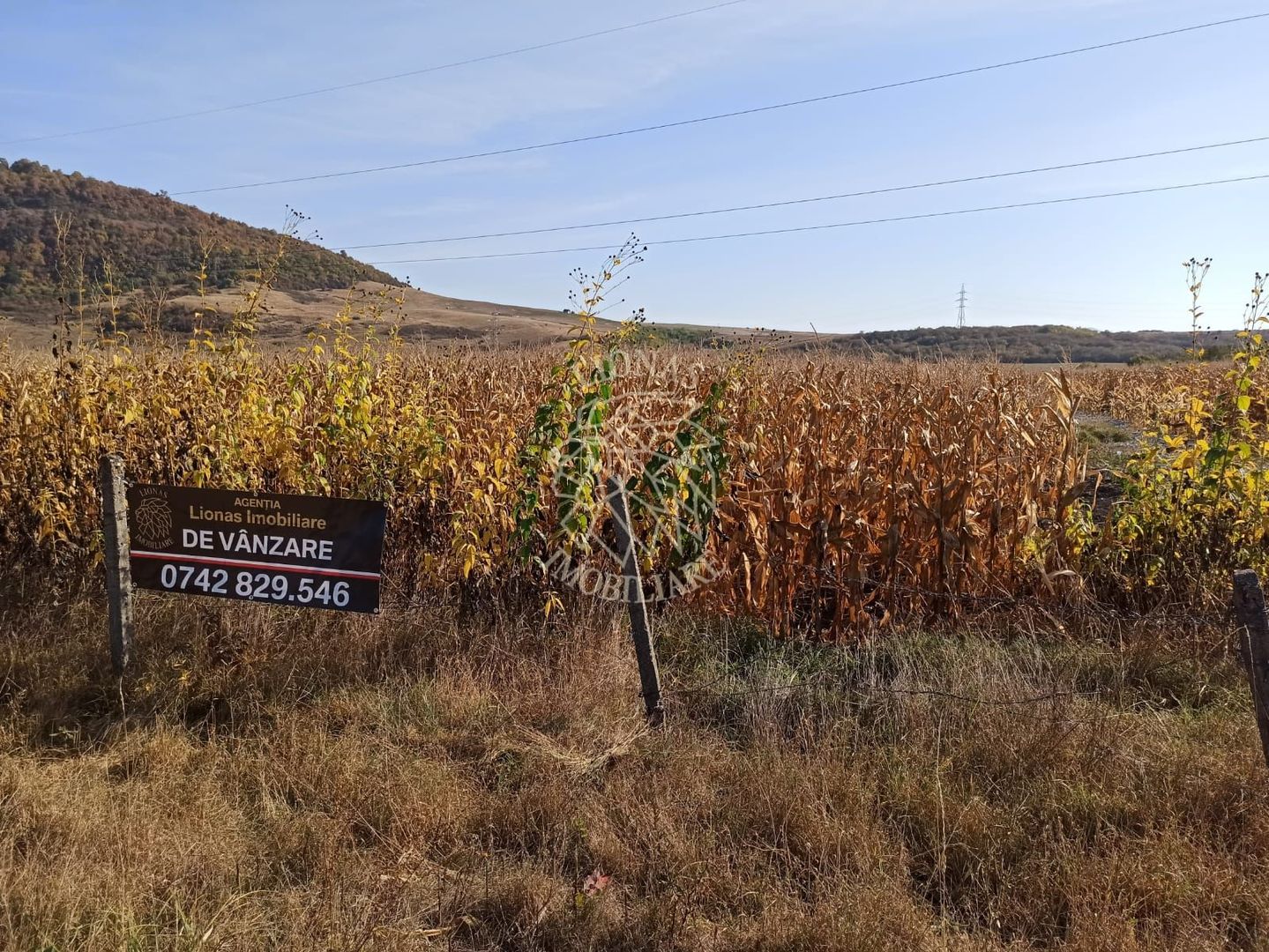 Parcele intre 770 mp si 4606 mp-ideal investitie-Sarata - Poză 3