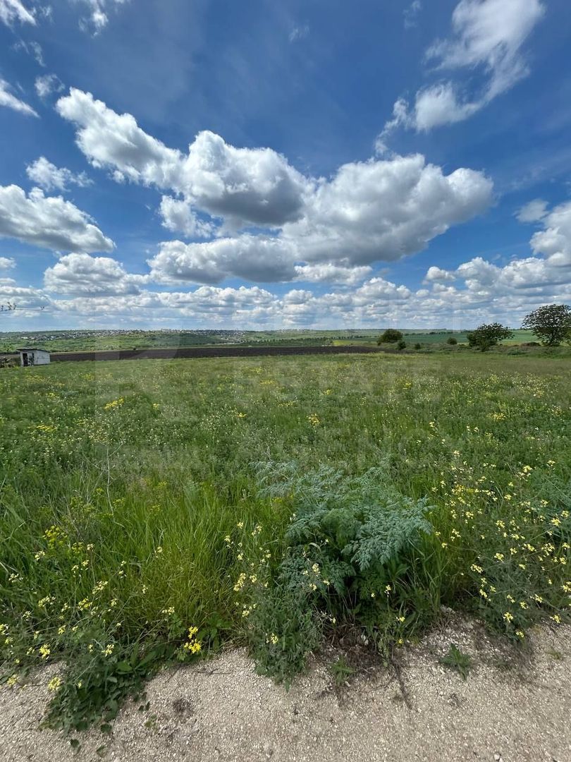 Vânzare, teren , 10 ari, Cruzești - Poză 4