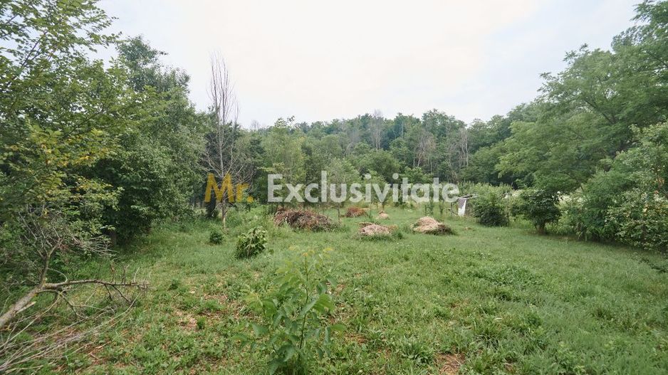Teren 2240 mp intravilan + casa batraneasca Hintesti-Basangesti - Poză 7