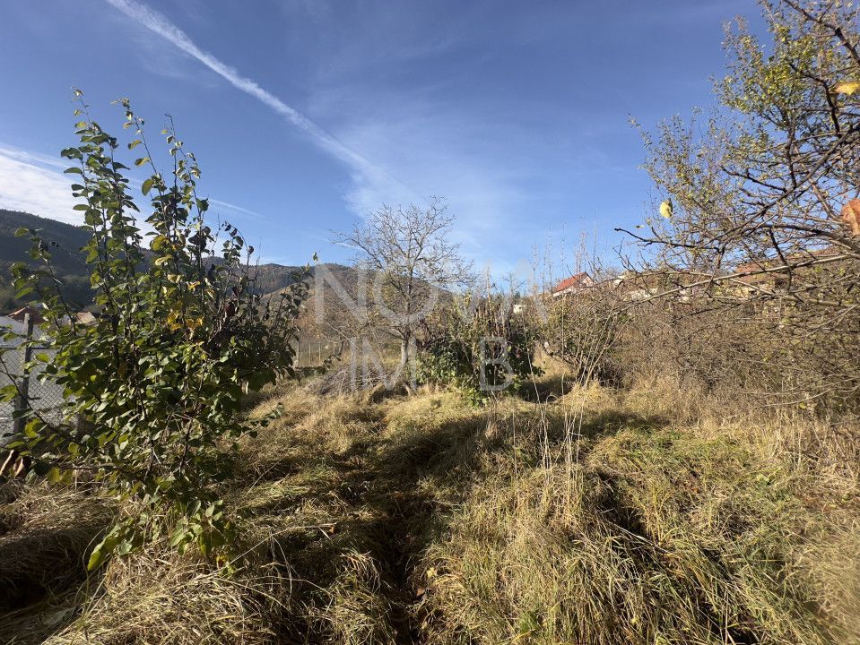 Casa individuala - Sat Vale, Saliste - Poză 7