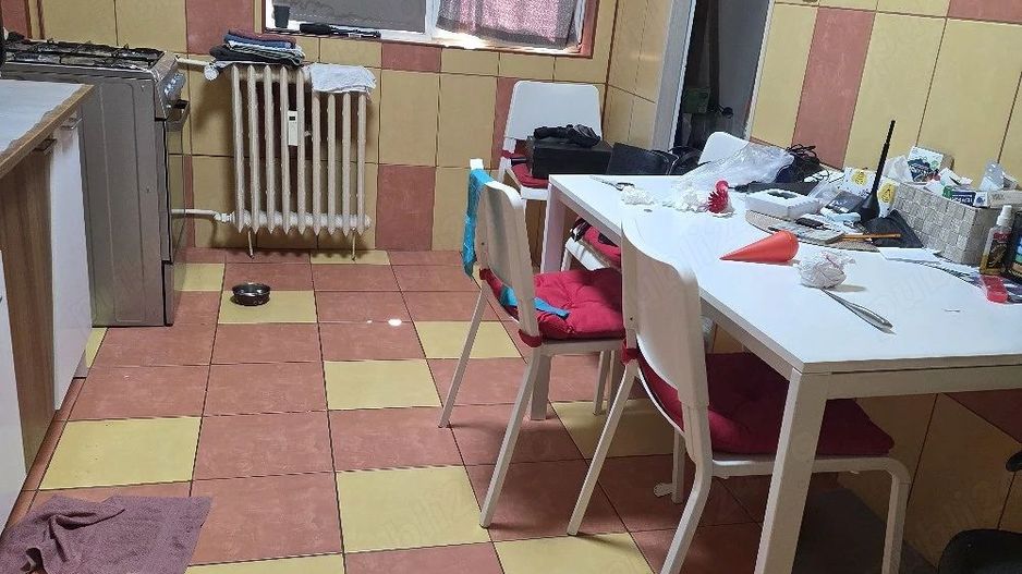Sos Stefan cel Mare nr 32 apart 2 camere 56 m' - Poză 5