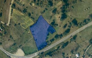 Teren extravilan 6923 mp in Berinta | Acces direct la DN | - Poză 1