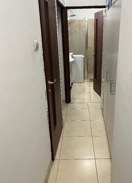 Apartament 3 camere Gradina Icoanei - Poză 10