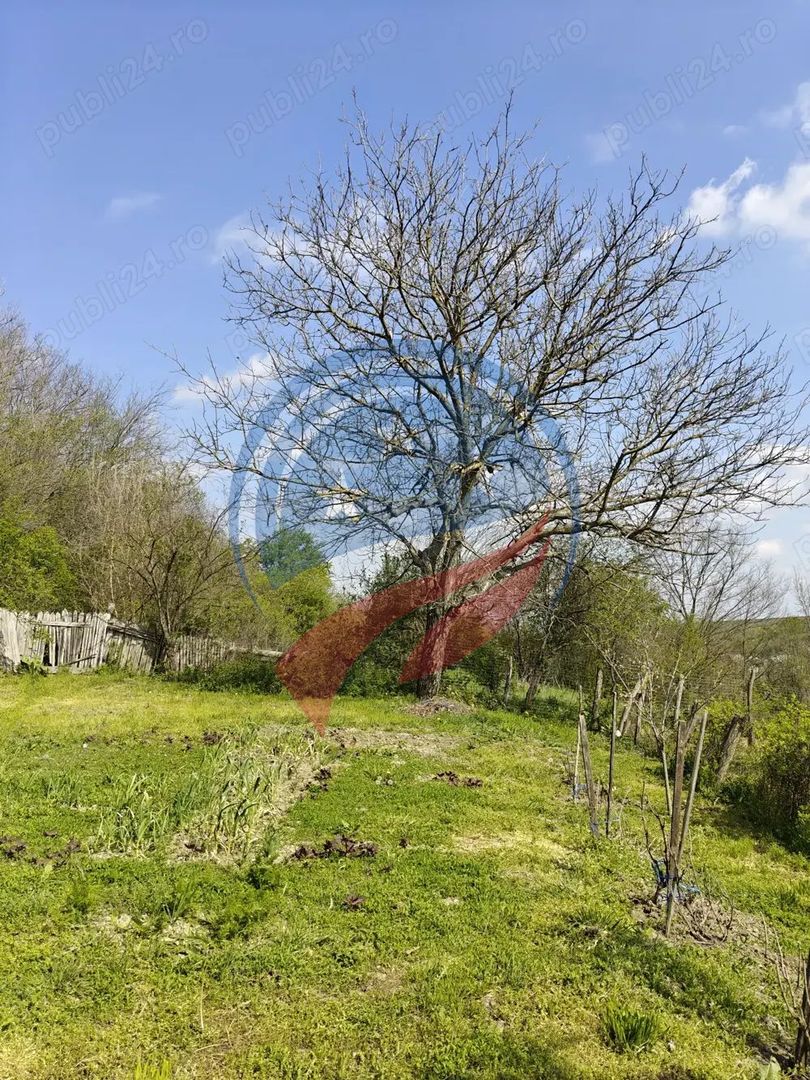 CASA LA 20 KM DE CRAIOVA CU 10000 MP. TEREN - Poză 3