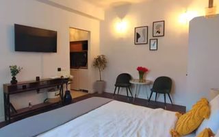 Apartament 1 camera, pachet 3 garsoniere, mobilat, renovat -  Ultracentral - Poză 4