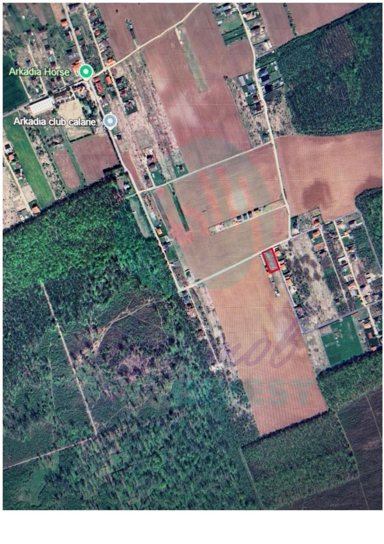 Vanzare teren constructie casa CIOFLICENI - SNAGOV - Poză 4