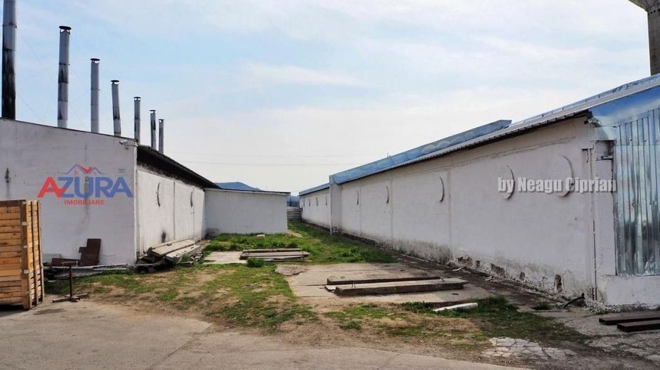 COMISION 0% - HALE Calinesti Arges - Poză 27