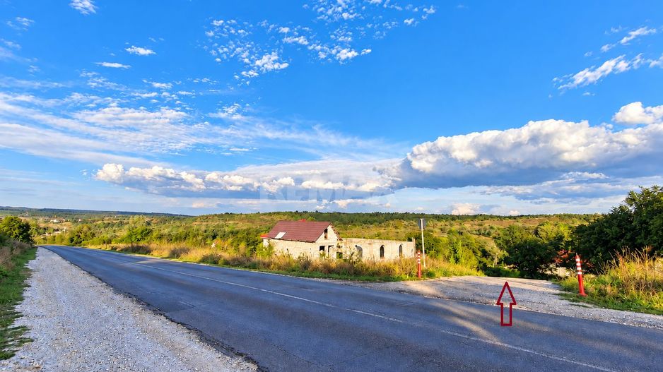 LOT POMICOL DE VÂNZARE – 5,7 ARI | IALOVENI  Î.P. „Floare-Carpet - Poză 2