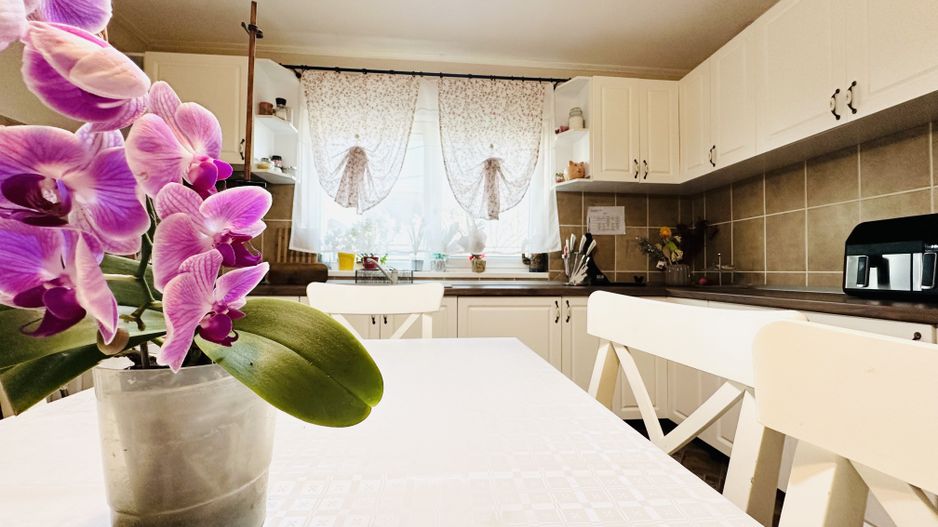 Vila individuala Sacalaz | 5 camere 191 mp, teren 503 mp | Comision 0% - Poză 2