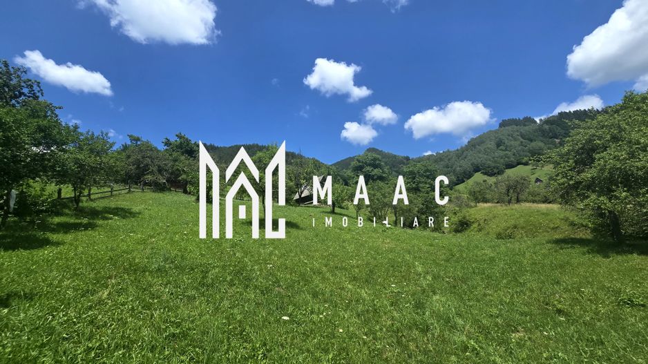 Teren | 2946MP | Priveliște Panoramică | Râu Sadului - Poză 3