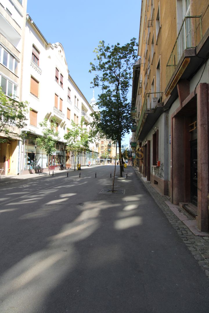 Piata Victoriei, 2 camere, centrala proprie, pet-friendly - Poză 12