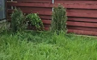 CASA de inchiriat GRANIT - 850 euro - Poză 9