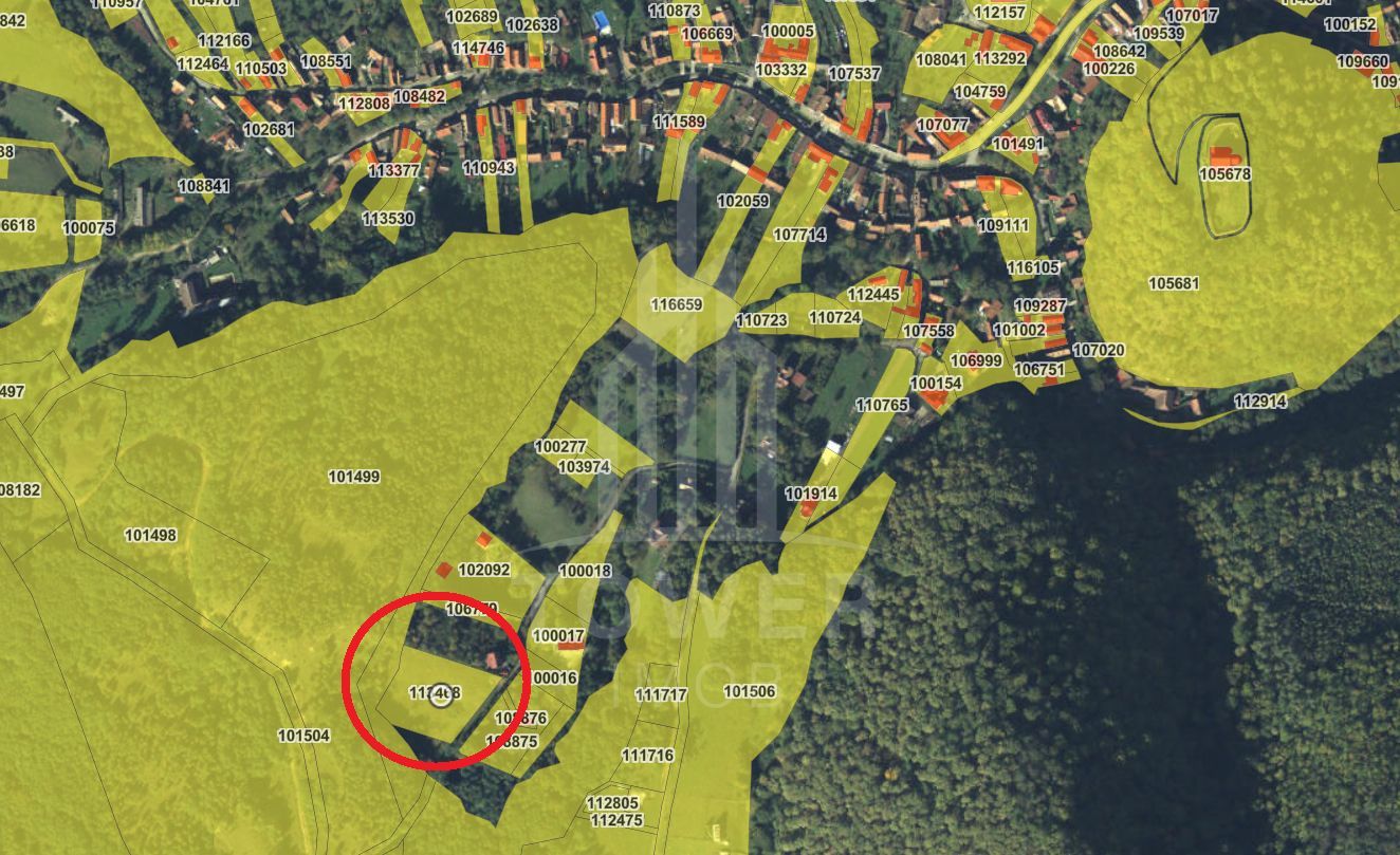 Teren intravilan 4600mp - 55 EUR/mp - EXCLUSIVITATE CISNADIOARA - COMISION 0% - Poză 2