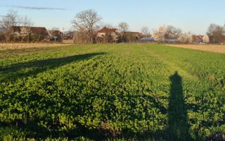 Teren | Intravilan | 1800 MPU | Porumbacu de Jos - Poză 5