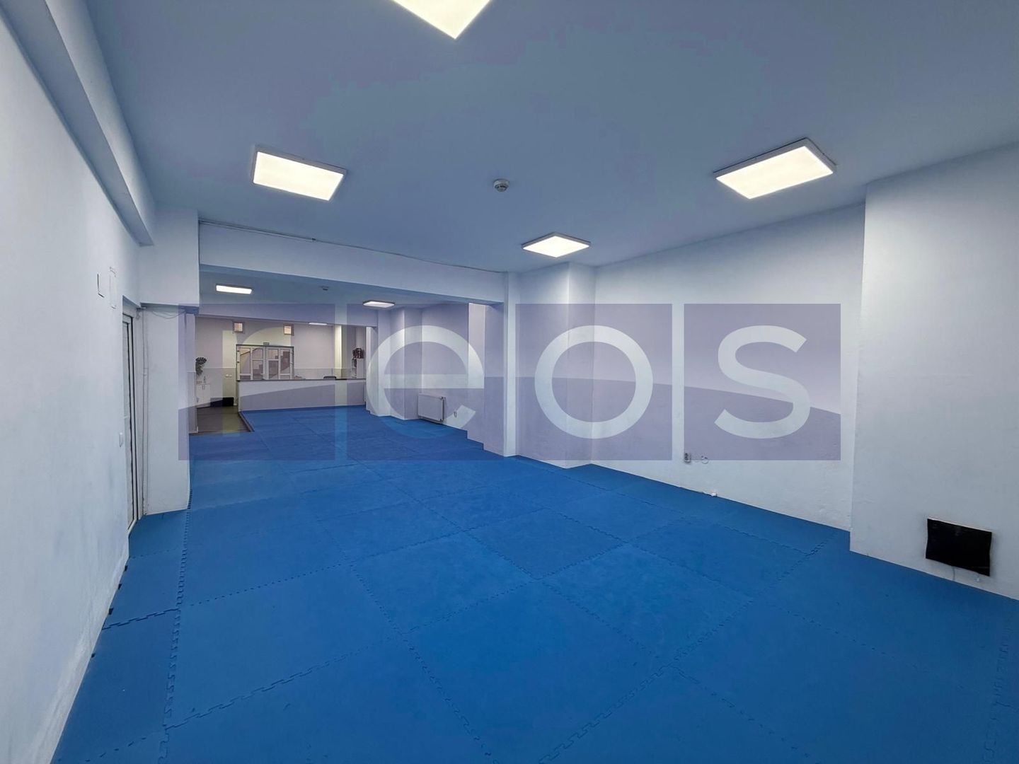 INCHIRIERE SPATIU DEMISOL | BARBU VACARESCU  | 196MP | - Poză 5