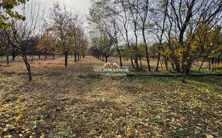 NECTORA IMOB-Teren cu livada matura+Anexa racordata la trifazic,9162mp - Poză 7